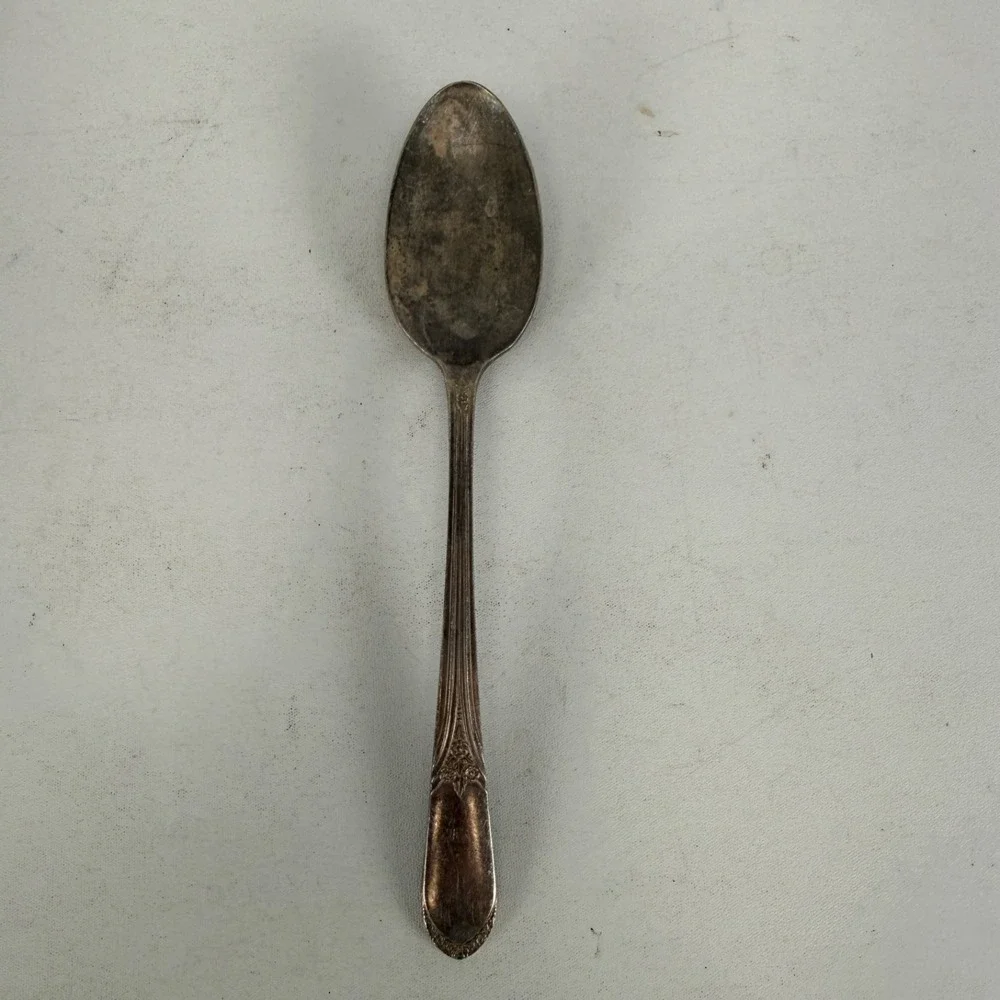 International Silverplate SERVING SPOON Mary Lou Devonshire Wm Rogers 8 1/2